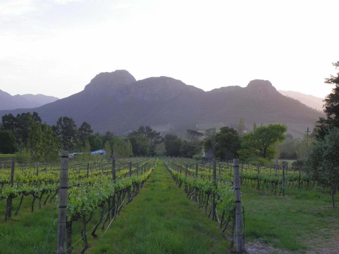 Franschhoek Rose Cottages Exterior foto